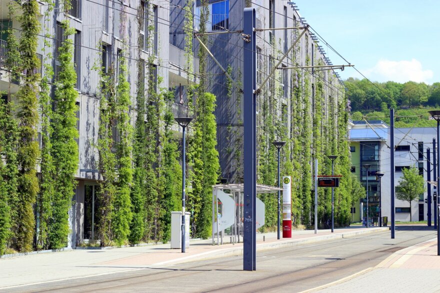 Cities going climate neutral share their insights and challenges
